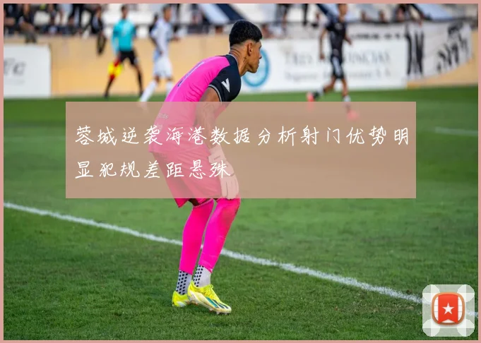 蓉城逆袭海港数据分析射门优势明显犯规差距悬殊