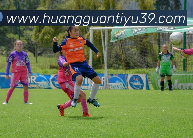 皇冠体育品牌故事