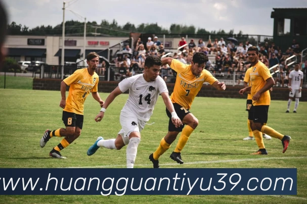 皇冠体育服务体系